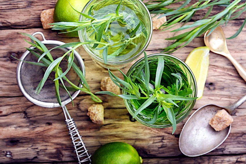 Tarragon Herb Tea for Tooth Pain