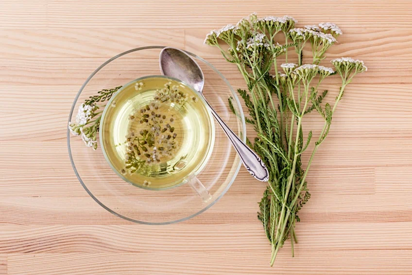 Yarrow Herb for Toothache